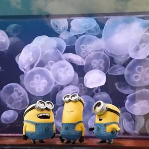 Meet your Posher, Becky